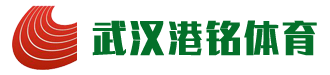 武漢港銘體育設施工程有限公司