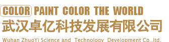 武漢卓億科技發展有限公司