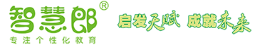 智慧郎官方網站-專注個性化教育--深圳市智慧郎數碼科技有限公司
