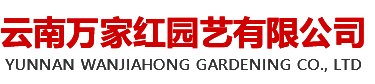櫻花苗,櫻花苗木,櫻花種苗,櫻花樹苗,垂枝櫻花,云南櫻花,櫻花圖片,櫻花視頻,櫻花基地,櫻花苗木供應商,撫仙湖櫻花節-云南萬家紅園藝有限公司
