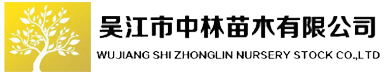 弗吉尼亞櫟-黃金杉-金葉水杉-楓樹-吳江市中林苗木有限公司