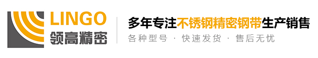 無錫領高精密科技有限公司
