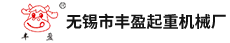 起重鉗|吊具|吊夾具-豐盈鋼板起重吊夾具0510-88765979
