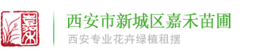西安花卉租擺|西安綠植租賃|嘉禾苗圃辦公室花卉盆栽租擺免費設計公司
