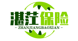 湛茳少兒險_湛茳【兒童旅游保險_兒童教育保險_青少年醫療保險】資訊(薩烏丁)