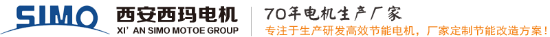 西安泰富西瑪電機 - 高效節能電機_高壓電機_防爆電機