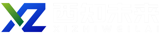 西知未來安全科技（新疆）有限公司