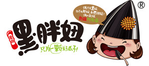 嘿胖妞瓜子--只為一顆好瓜子—新疆豐吉爾食品有限公司