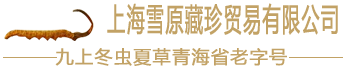 上海雪原藏珍貿易有限公司