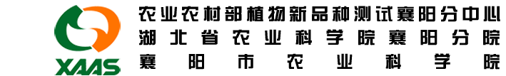 襄陽市農業科學院