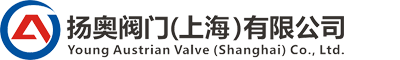 進口閥門品牌-進口減壓閥|氣動球閥|蝶閥-揚奧閥門（上海）有限公司