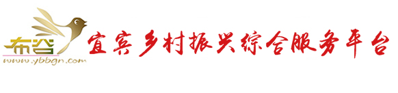 宜賓鄉(xiāng)村振興綜合服務平臺