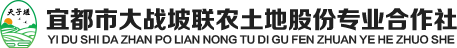 宜都市大戰坡聯農土地股份專業合作社