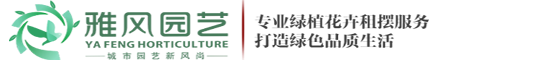 西安綠植租賃,西安綠植租擺,西安花卉租賃,綠植租擺,綠植租賃,辦公室綠植租擺—西安雅風綠植租擺