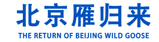活性氧化鋁,活性氧化鋁干燥劑,活性氧化鋁吸附劑,分子篩,分子篩廠家-北京雁歸來環保科技有限公司