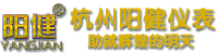 水質檢測儀器-在線監測多參數分析儀-在線監控pH計_杭州陽健儀表公司