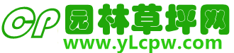 湖北武漢園林綠化草坪基地|武漢草坪種植修剪養護專業施工隊伍|草坪銷售