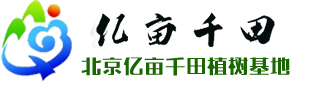 北京億畝千田植樹基地