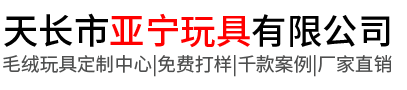 天長(zhǎng)市亞寧玩具有限公司