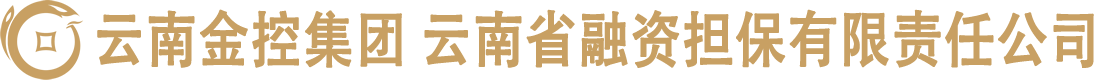 云南省融資擔保有限責任公司