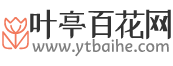 葉亭百花網