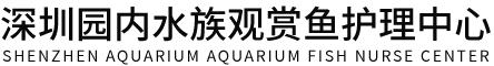 深圳園內(nèi)水族觀賞魚服務(wù)中心