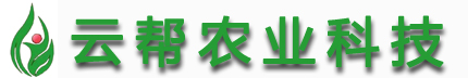 河南云幫農業科技有限公司-紅薯脫毒種苗_草莓脫毒種苗_百合脫毒種苗_白芨脫毒種苗