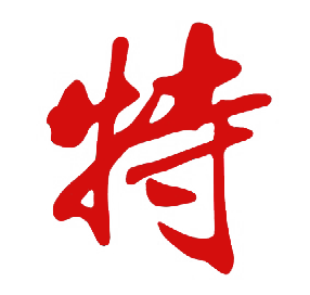 隴江科技