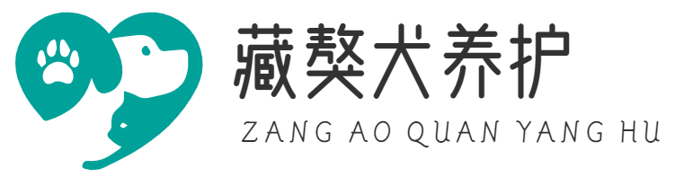 寵物狗 - 藏獒犬-喂養指南-十大適合家養的狗
