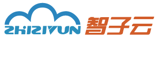 智子云|數智人解決方案代理加盟/信息流廣告代理加盟/個性化推薦服務/數據中臺解決方案