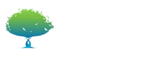 百朗創(chuàng)新