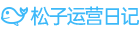 松子電商運營日記