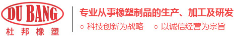 杜邦橡塑(鎮(zhèn)江)有限公司
