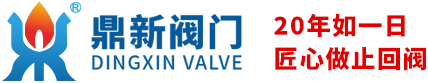 對夾式止回閥_不銹鋼底閥-浙江鼎新閥門有限公司