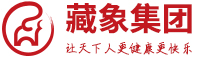 藏象集團(tuán)_專注中醫(yī)藥健康實業(yè)與投資的生態(tài)系統(tǒng)服務(wù)平臺