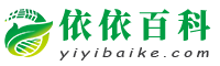 依依百科-全面了解知識點,提升認知水平