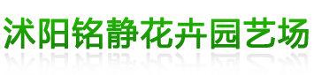 貴州楠東辛電了科技有限公司
