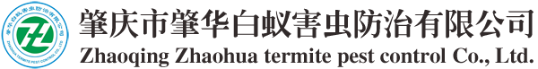 肇慶白蟻防治_肇慶白蟻公司_肇慶白蟻防治公司_肇慶白蟻防治中心_肇慶殺蟲_肇慶市肇華白蟻害蟲防治有限公司