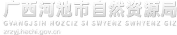 廣西河池市自然資源局網站