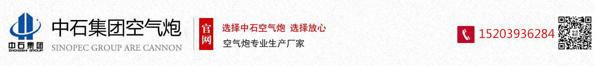濮陽中石集團有限公司